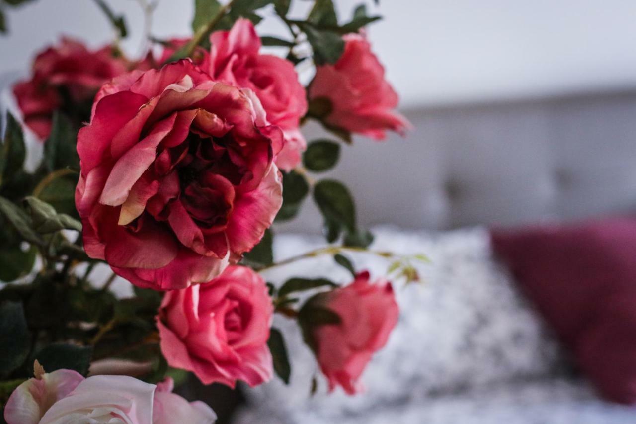 Mariohome Sassari Dış mekan fotoğraf